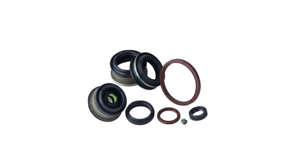 Oil Seal Basic Structure Diagram